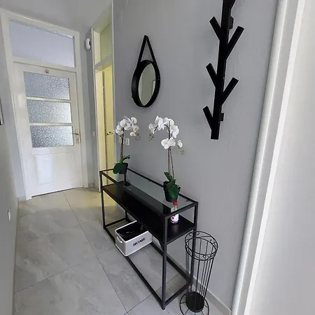 Apartament Vesel