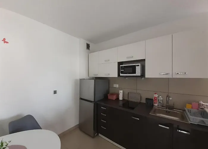 Vesel Appartement *